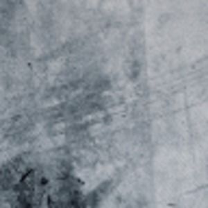 Meet your Posher, Darian